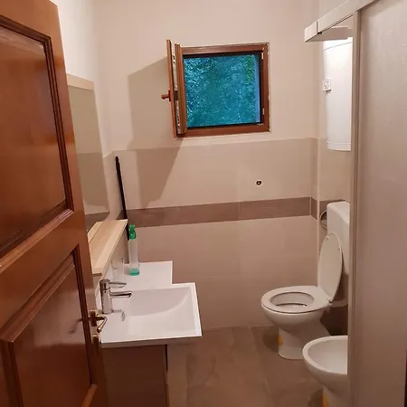 Apartman Hodzic شقة